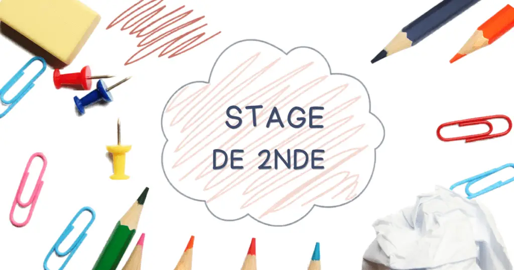 Stage de seconde : en faire une expérience d'orientation